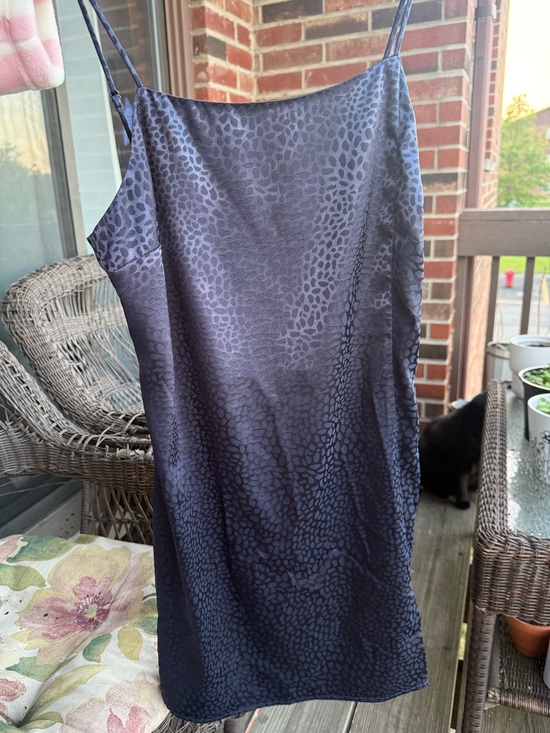 Sophie Rue Dresses & Skirts - Blue leopard mini dress